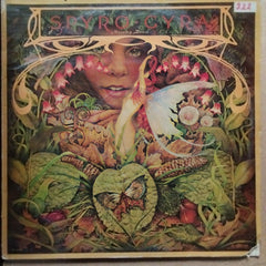 Spyro Gyra - Morning Dance (Vinyl)
