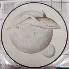 Gojira (2) - From Mars To Sirius (Vinyl) (2)