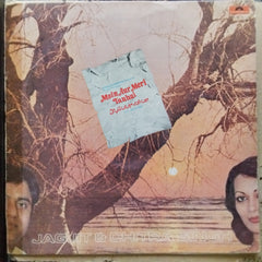 Jagjit & Chitra Singh  - Main Aur Meri Tanhai (Vinyl)