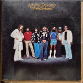 Lynyrd Skynyrd - Street Survivors (Vinyl)