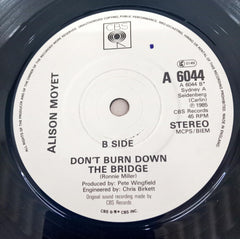 Alison Moyet - That Ole Devil Called Love (45-RPM)