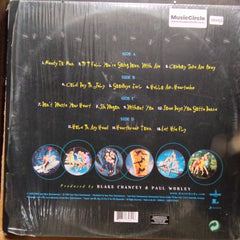 Dixie Chicks - Fly (Vinyl)