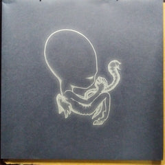 Sigur RóS - ÁGæTis Byrjun (Vinyl)