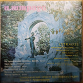 J. Strauss - Symphonic Works (Vinyl)