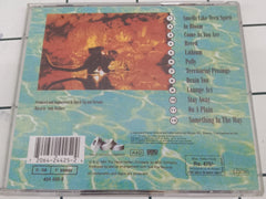 Nirvana - Nevermind (CD)