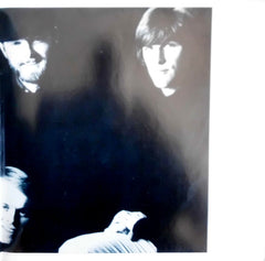 Beach Boys, The - 1966-1969 (Vinyl) (2)