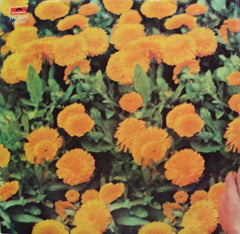 R. D. Burman, Anand Bakshi - Rocky (Vinyl)