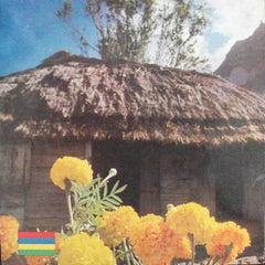 Various - सà¥à¤µà¤°à¥à¤£ चकà¥à¤° : Bhojpuri Folksongs Of Mauritius - Chansons Folkloriques de L'Ile Maurice (Vinyl)