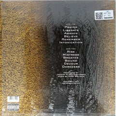 Disturbed - Believe (Vinyl)