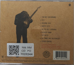 Steve Winwood - Nine Lives (CD)