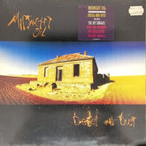 Midnight Oil - Diesel and Dust (Vinyl)