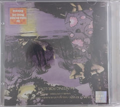 Shujaat Khan - Waiting For Love (CD)