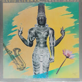 David Liebman - Sweet Hands (Vinyl)