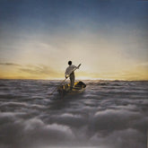 Pink Floyd - The Endless River (Vinyl) (2)