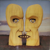 Pink Floyd - Division Bell (Vinyl) (2)