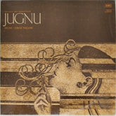 Firoz Nizami - Jugnu (Vinyl)
