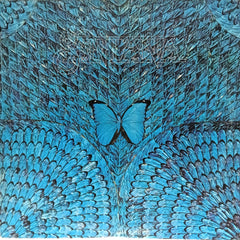 Santana - Borboletta (Vinyl)