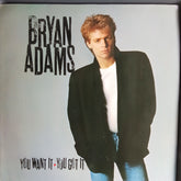 Bryan Adams - You Want It You Got It (Vinyl)