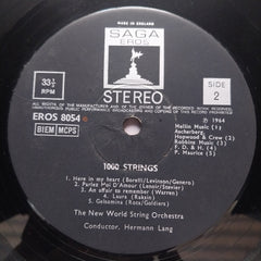 The New World String Orchestra - 1000 Strings (Vinyl)