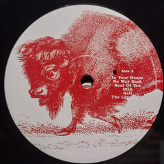 Foo Fighters - In Your Honor (Vinyl)