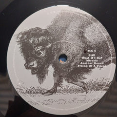 Foo Fighters - In Your Honor (Vinyl)