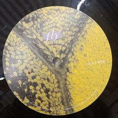 Dixie Chicks - Fly (Vinyl)