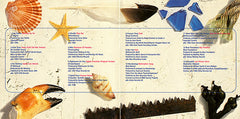 Various - Café Del Mar ~ Ibiza (Volumen Tres) (CD) Image