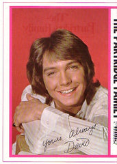 Partridge Family, The - Shopping Bag (Vinyl) Image