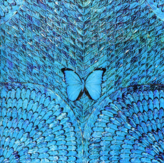Santana - Borboletta (CD)