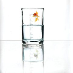 Dream Theater - Black Clouds & Silver Linings (CD)