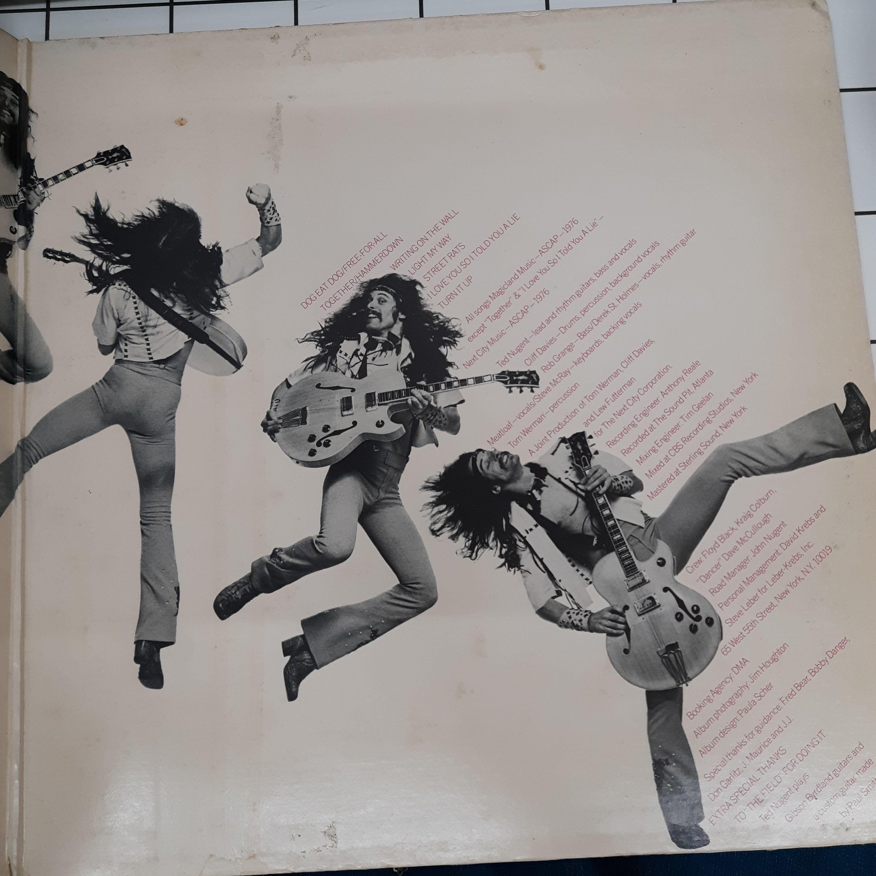 Ted Nugent - Free-For-All (Vinyl)