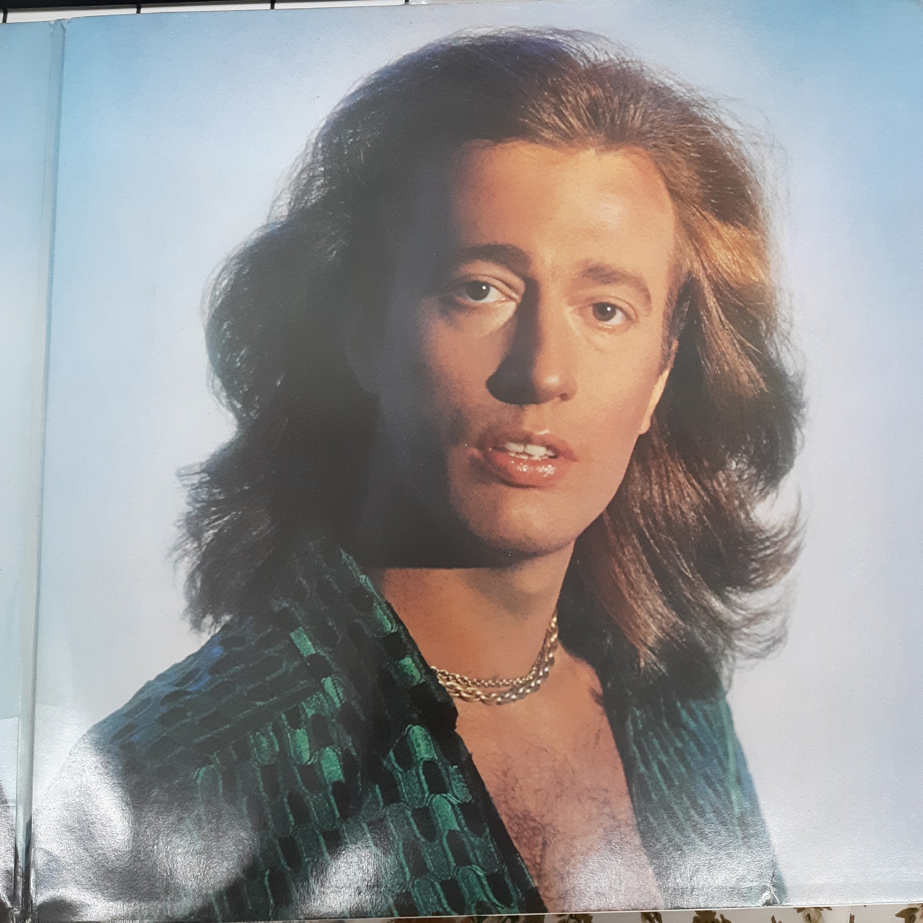 Bee Gees - Greatest (Vinyl) (2)