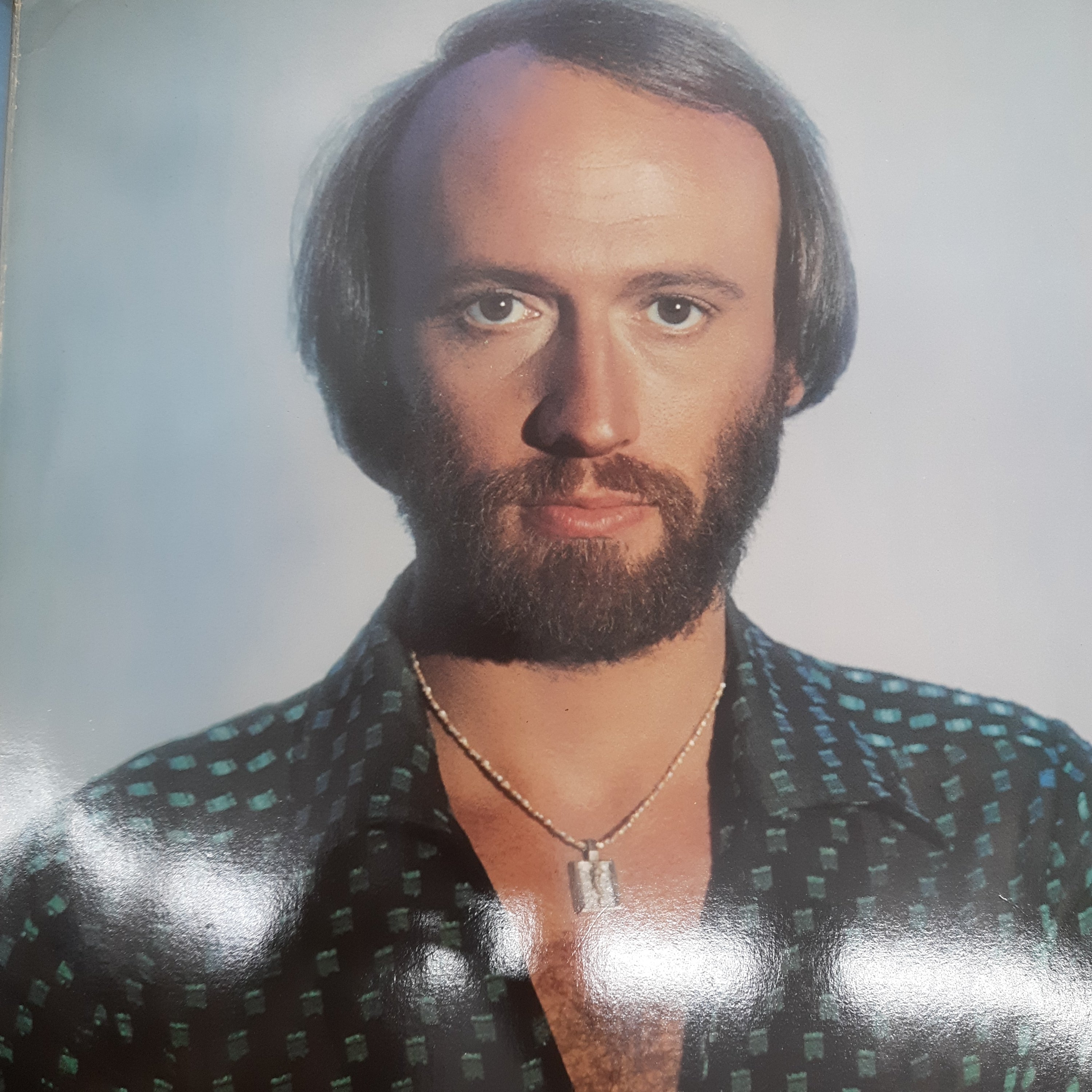 Bee Gees - Greatest (Vinyl) (2)