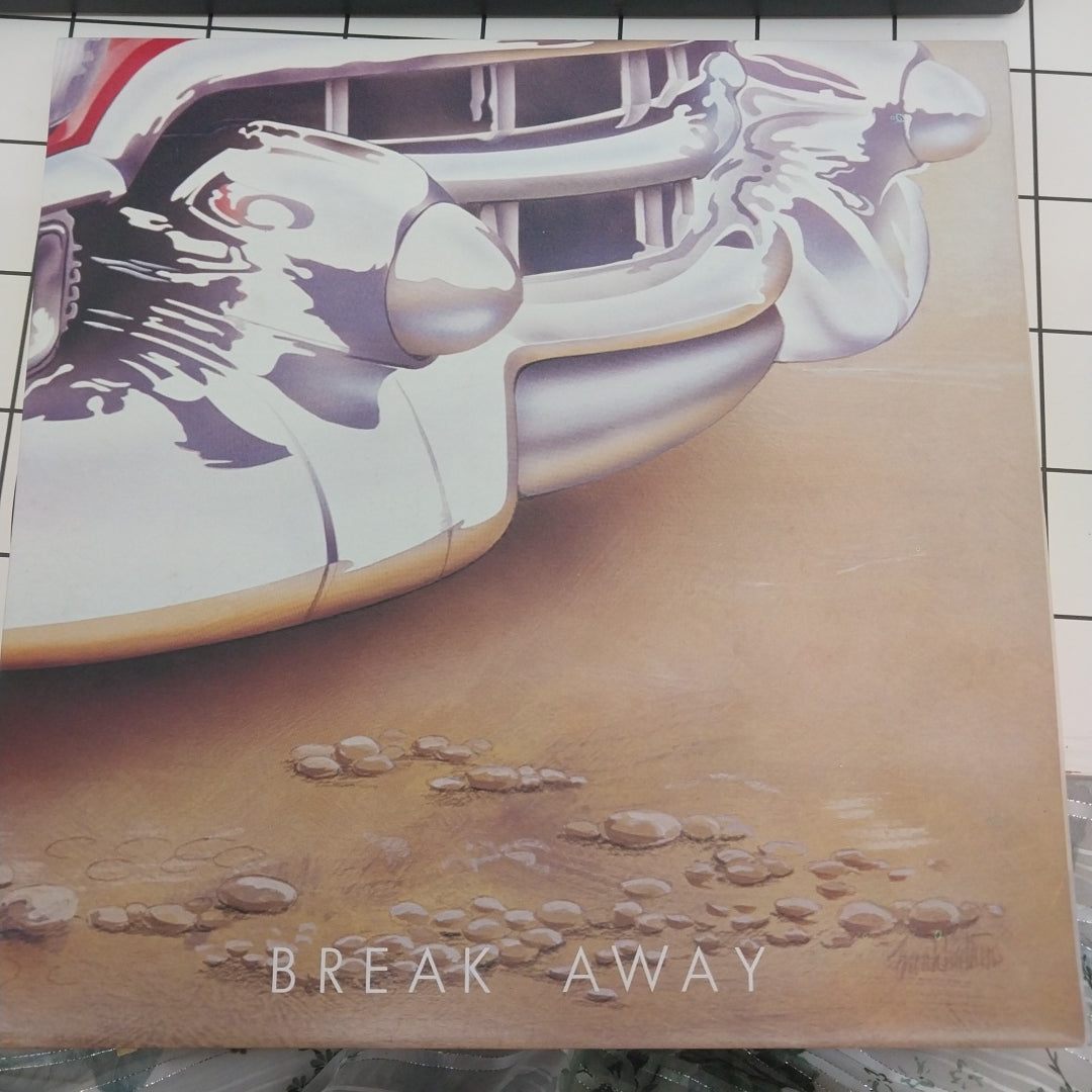 Break Away - The Beach Boys (Vinyl) (6)