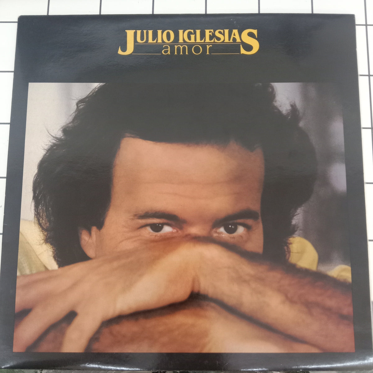 Julio Iglesias - Amor (Vinyl)