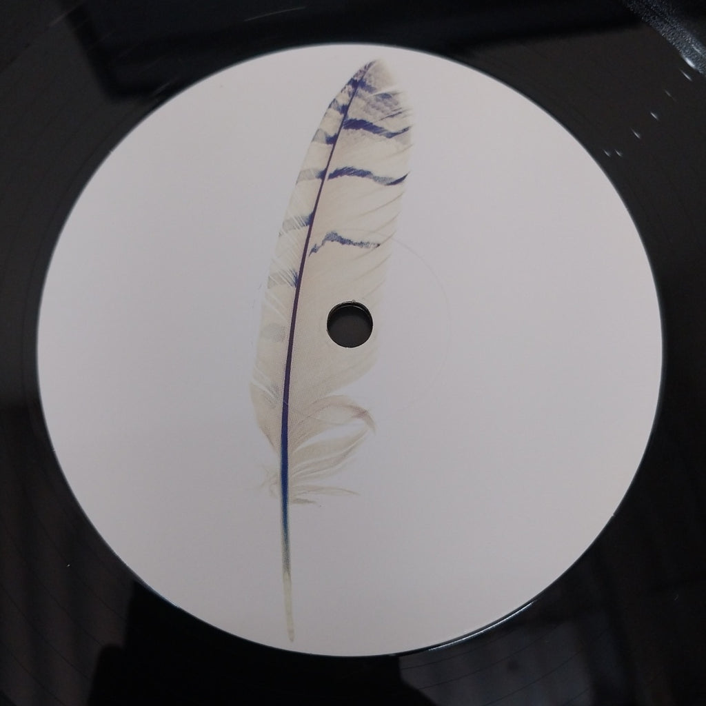 Tedeschi Trucks Band - Let Me Get By (Vinyl) (2)