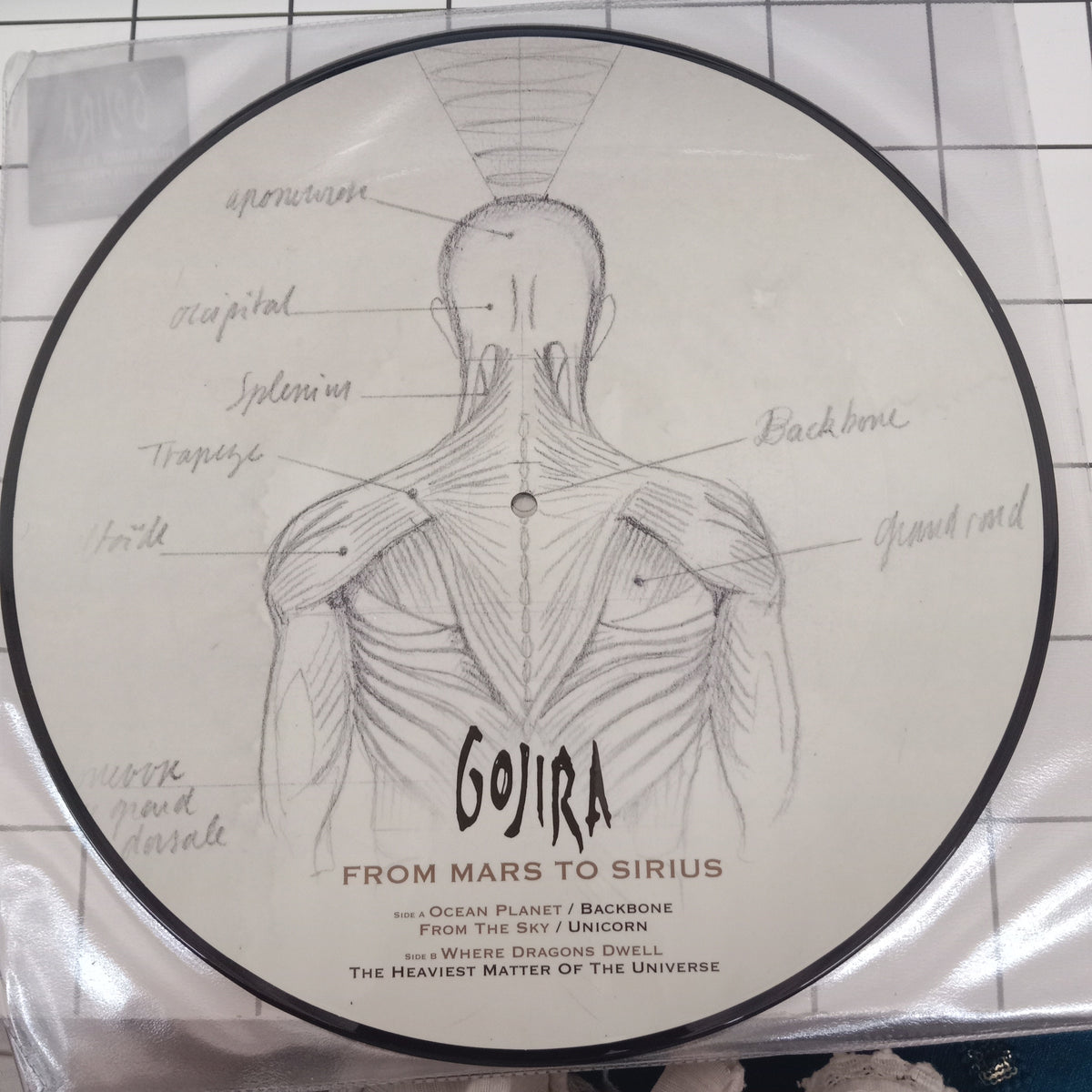 Gojira (2) - From Mars To Sirius (Vinyl) (2)