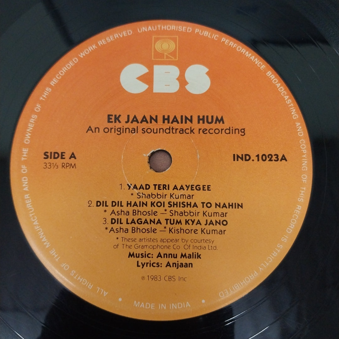 Anu Malik, Anjaan - Ek Jaan Hain Hum (Vinyl)