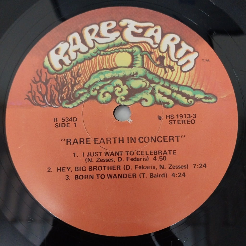 Rare Earth - Rare Earth In Concert (Vinyl) (2)