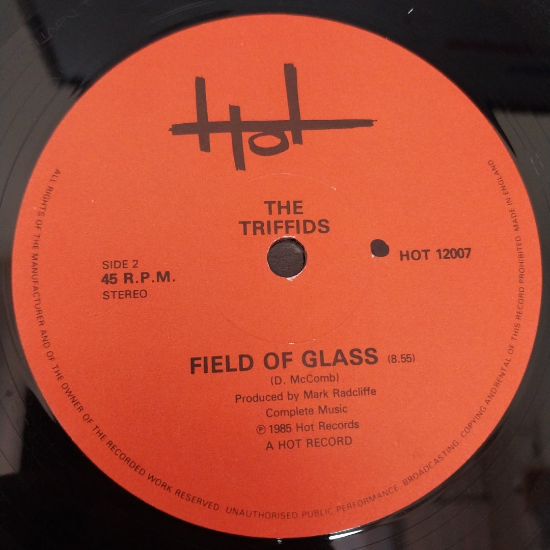 Triffids, The - Field Of Glass (Vinyl)