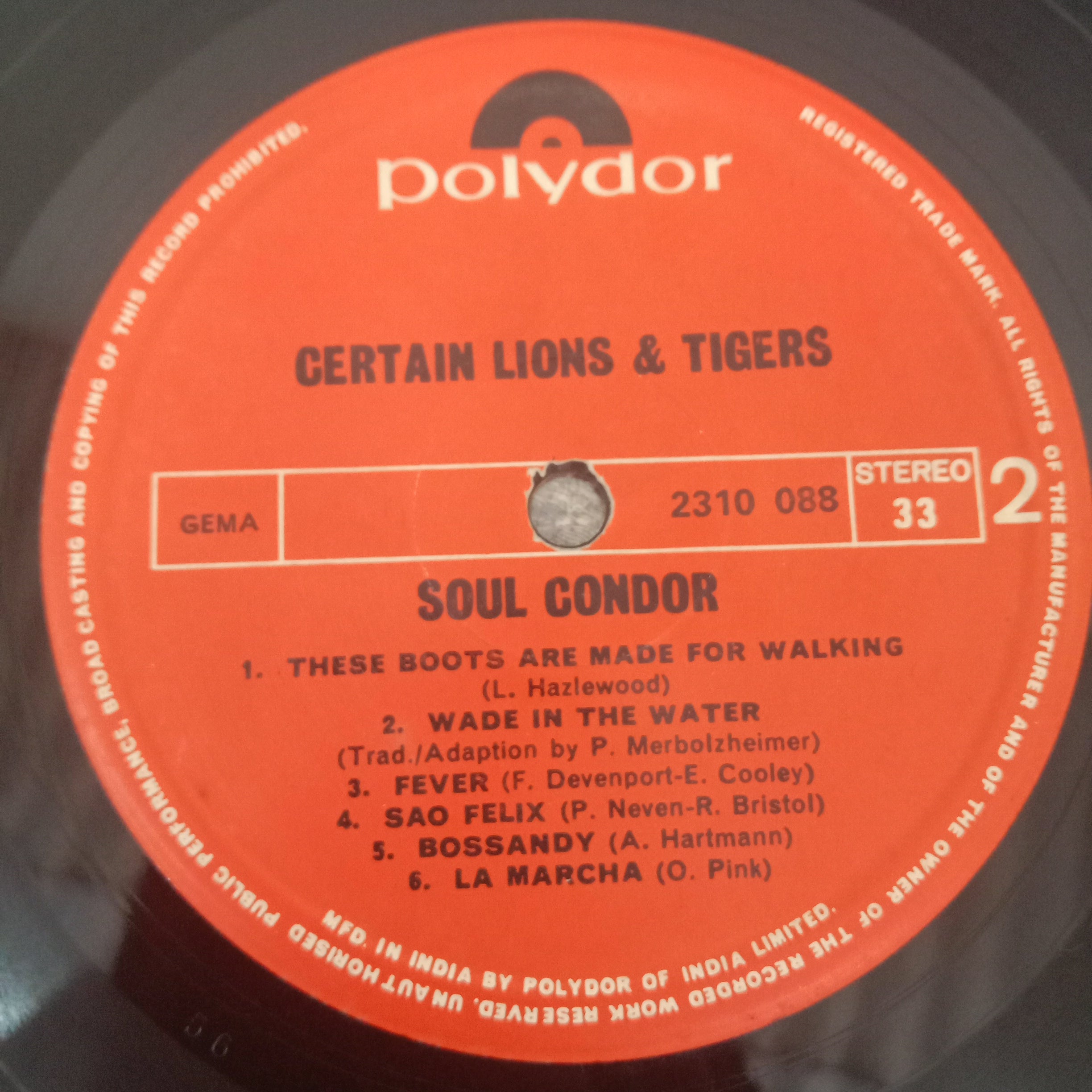 Certain Lions & Tigers - Soul Condor (Vinyl)