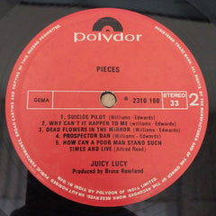 Juicy Lucy - Pieces (Vinyl)