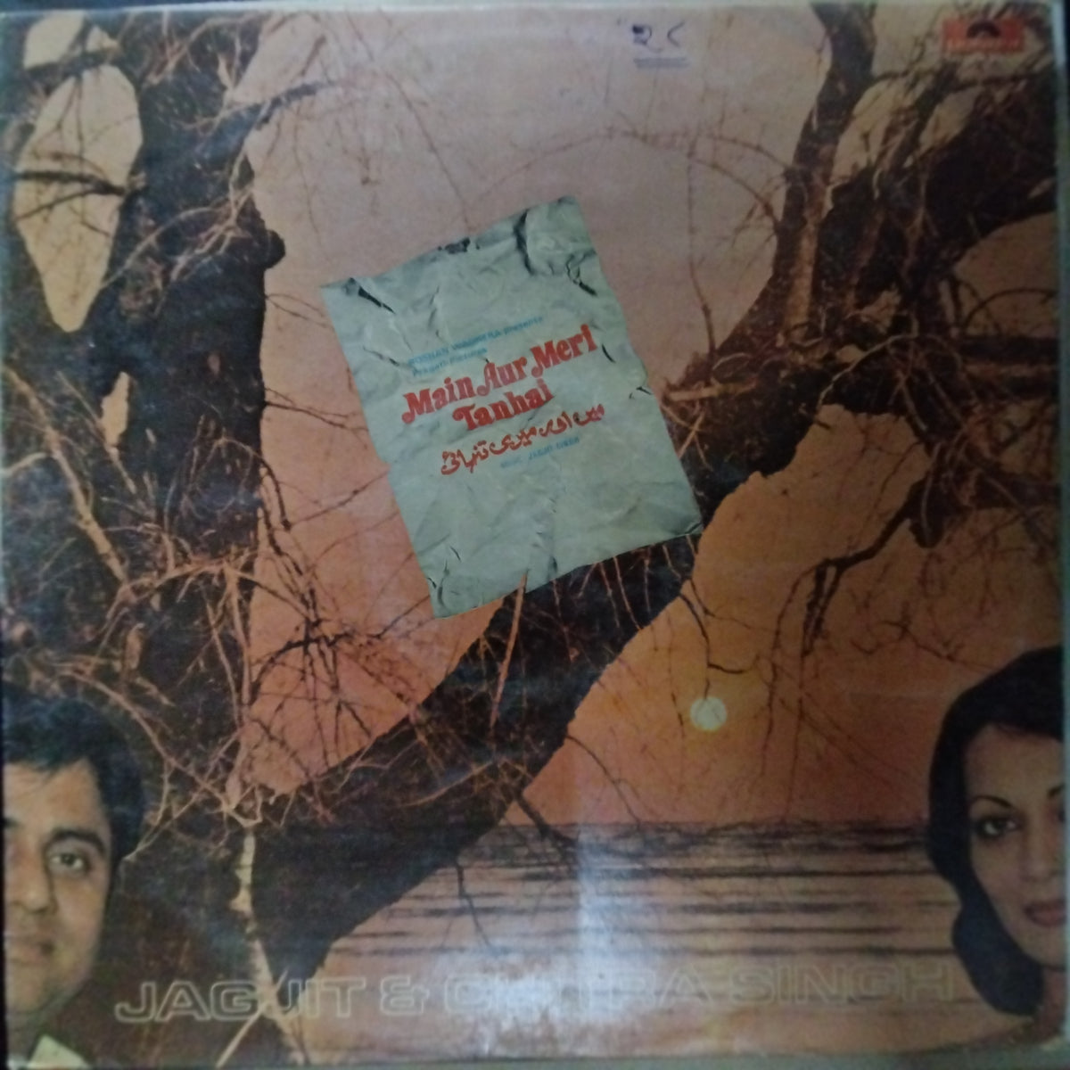 Jagjit & Chitra Singh  - Main Aur Meri Tanhai (Vinyl)