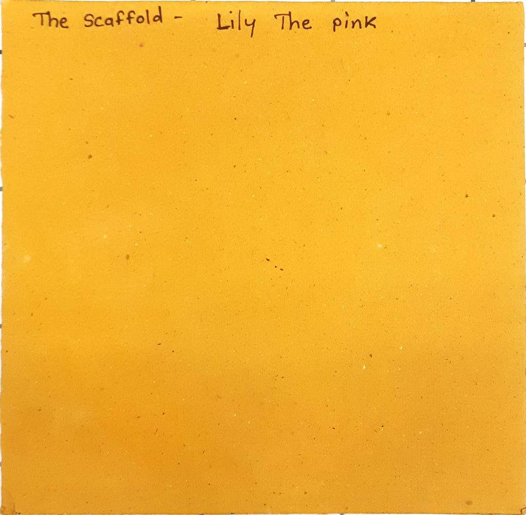 The Scaffold - Lily The Pink (45-RPM)