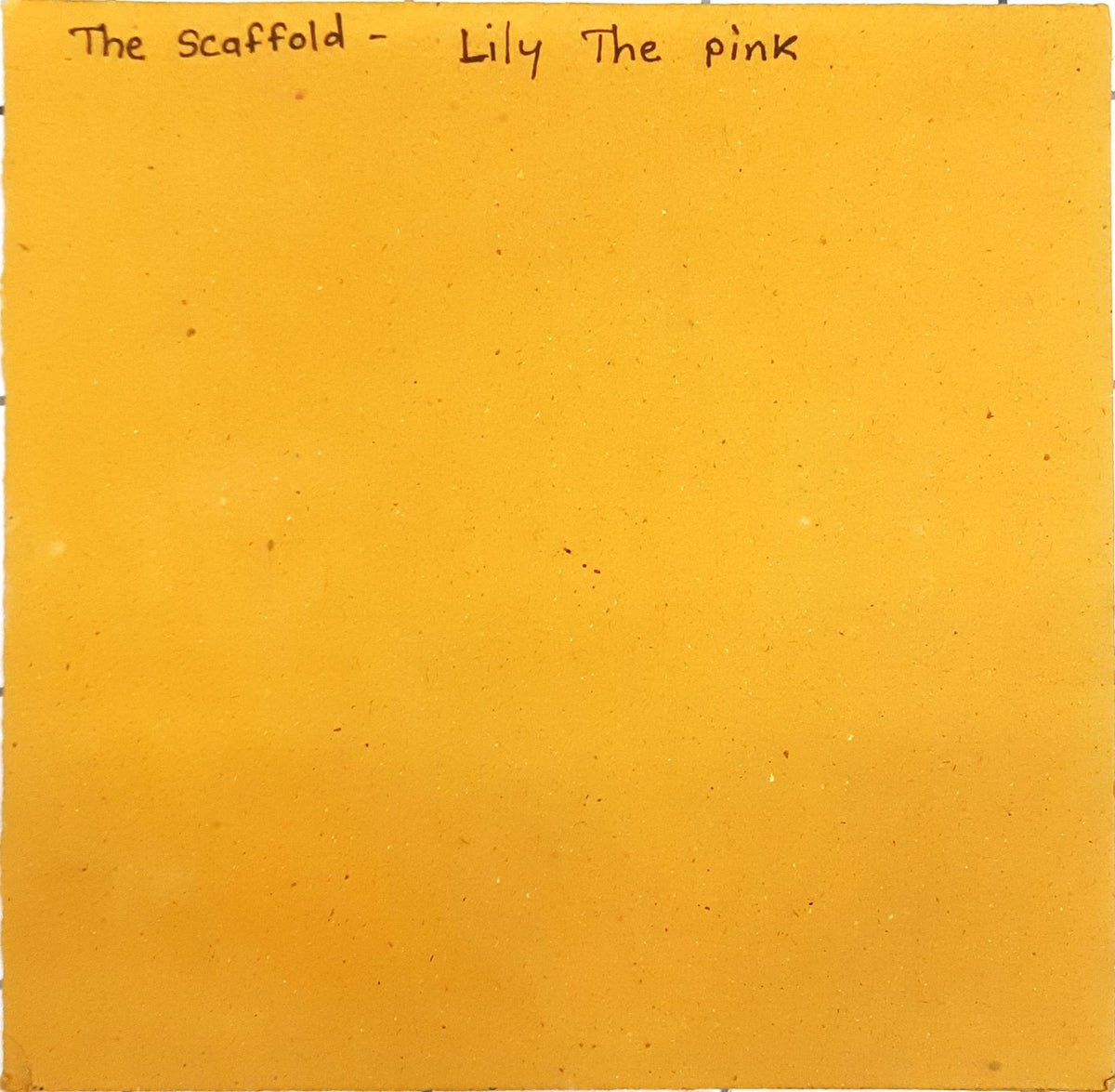 The Scaffold - Lily The Pink (45-RPM)