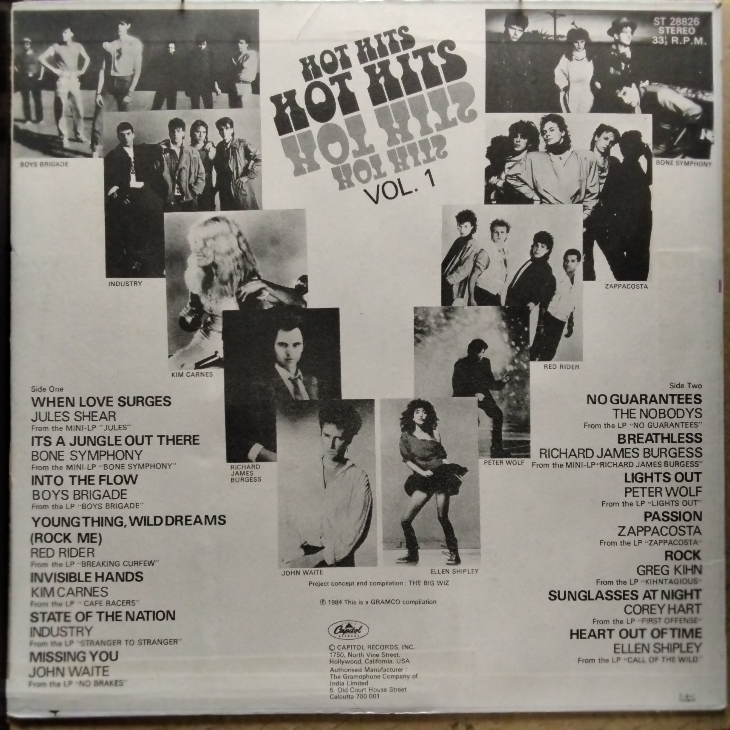 Various  - Hot Hits Vol 1  (Vinyl)