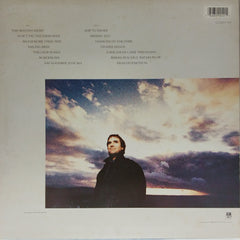 Chris De Burgh  - Spark To A Flame (Vinyl)