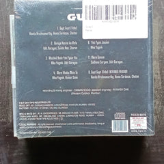 Viju Shah  - Gupt (CD)