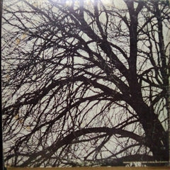 Donovan  - Donovan'S Greatest Hits (Vinyl)