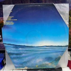 Journey - Raised On Radio (Vinyl)